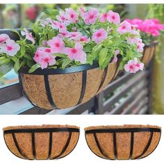 three flower pots with pink flowers in them