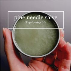 Pine Needle Salve – Laura Taylor Homemade Balms And Salves, Herb Remedies, Herbal Salve Recipes, Homemade Salve, Medicine Recipes, Witch Kitchen, Witch Crafts