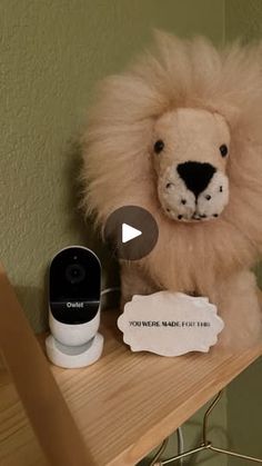 a stuffed lion sitting on top of a wooden shelf next to a small security camera