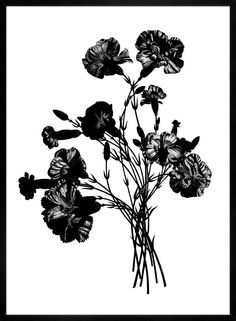 black and white photograph of flowers in a vase