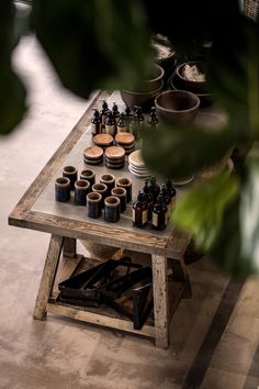 a table with pots and bottles on it in the middle of a room filled with potted plants