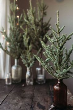 three small christmas trees in glass vases on a wooden table