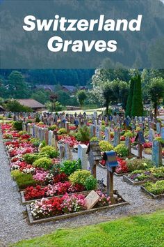 a cemetery with lots of flowers in it and the words switzerland graves written on top