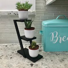 three potted plants sitting on top of a black stand next to a blue cooler