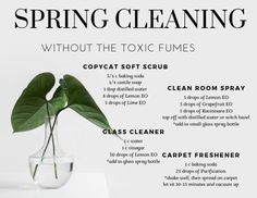 a glass vase with a plant in it and instructions on how to use the spring cleaning