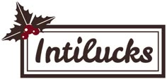 an image of the word infllucks with holly leaves and berries on it