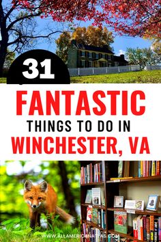 Things to do in Winchester Virginia Things To Do In Virginia, Winchester Virginia, Winchester Va, Family Hiking, Best Vacation Destinations, Nature Trails, Romantic Things To Do