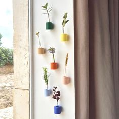 the wall is decorated with different colored vases and plants on it's sides