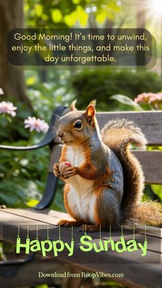 a squirrel sitting on top of a wooden bench next to a park bench with the words happy sunday