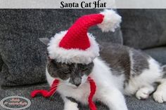 a gray and white cat wearing a red santa hat on top of a grey couch