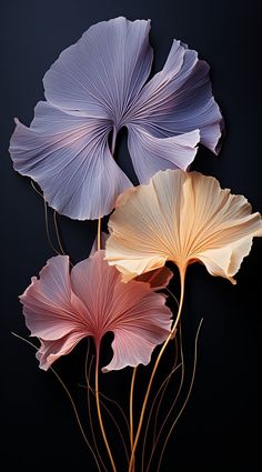 three different colored flowers on a black background