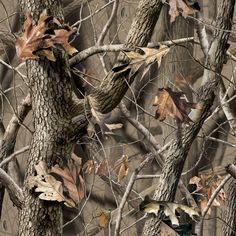 Tempest Costumes, Hunting Backgrounds, Real Tree Camouflage, Hunting Camo, Fabric Diy, Woodland Camo, Realtree Camo, Patterned Vinyl