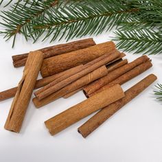 cinnamon sticks are lined up on a white surface next to evergreen branches and pine needles