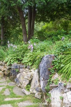 a stone wall surrounded by plants and rocks