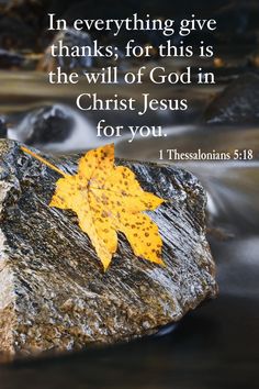 a yellow leaf sitting on top of a rock next to a river with the words, in everything give thanks for this is the will of god in christ jesus for you