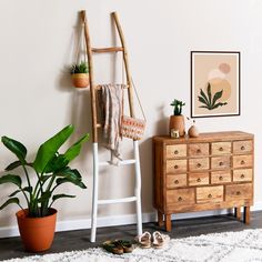 a wooden chair sitting next to a plant in a pot on top of a white rug