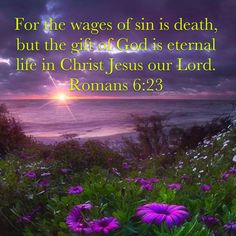 Rom 6:23 Wages Of Sin, Rachel Parker, Romans 6 23, Romans 6, Biblical Scriptures, Beautiful Bible Verses, Inspirational Scripture, Inspirational Bible Quotes