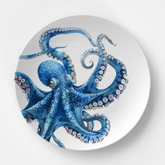 an octopus painted on a white plate