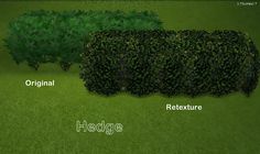 two hedges are shown with the words hedge next to them