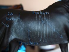 a black horse is shown with three layers and two layers labeled in blue text on it