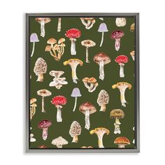 a green background with many different types of mushrooms