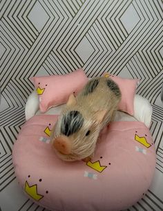 a stuffed animal laying on top of a pink pillow