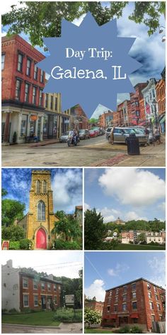 the collage shows several different buildings and trees