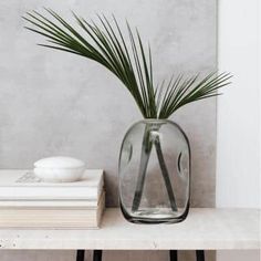 a glass vase sitting on top of a table next to a stack of books and a plant