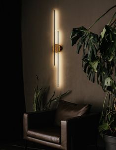 a chair and potted plant in a dark room with light coming from the wall