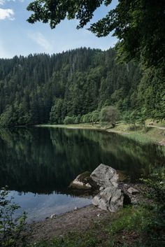 a large body of water surrounded by trees and rocks in the middle of a forest