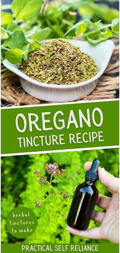 Discover the potent medicinal benefits of oregano tincture, a staple in herbal tinctures. This powerful remedy combats bacteria, fungi, and inflammation, while supporting the immune system. Perfect for those interested in herbalism, this recipe guides you through creating an oregano tincture with vodka, a must-have for your natural remedy toolkit. Find more self-sufficient living tips, natural herbs medicine, and homestead survival techniques at practicalselfreliance.com Oregano Tincture, 2024 Healing, Benefits Of Oregano, Medicinal Herbs Remedies, Herbs Medicine, Medicine Recipes