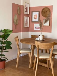 a dining room table and chairs with pink walls in the back ground, potted plant on the far wall