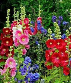 many different colored flowers in a garden