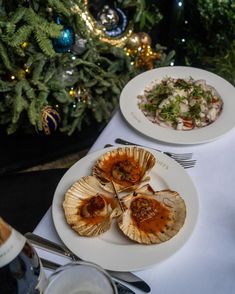 three plates with scallops on them sitting on a table next to a christmas tree