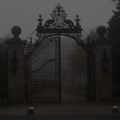 an iron gate in the middle of a road with trees on both sides and foggy sky behind it