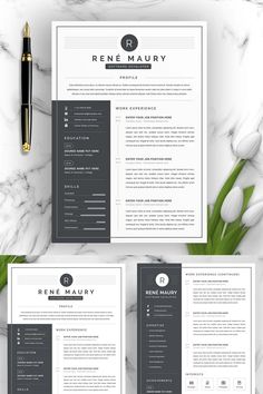 the professional resume template is ready to be used for any job