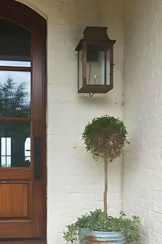 a potted plant sitting next to a wooden door with a light on it's side