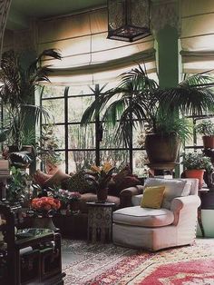 a living room filled with lots of potted plants