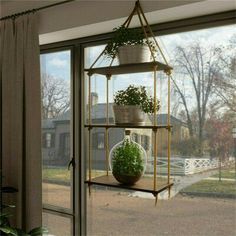 a potted plant sitting on top of a shelf in front of a glass window