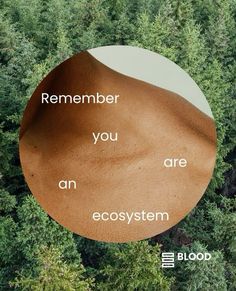 an aerial view of trees with the words, remember you are an ecosytem