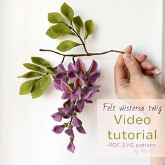 a hand is holding a purple flower with green leaves on it and the text felt wisteria twig video tutor