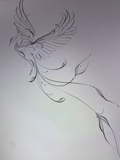 a drawing of a bird flying in the sky