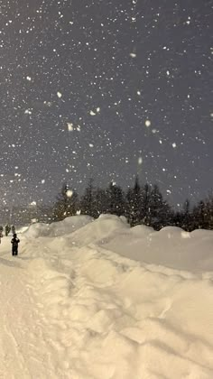 a group of people riding skis down a snow covered slope at night with trees in the background