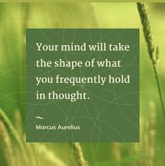 a quote about the shape of what you frequently hold in thought by marcus aurelus