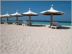 some chairs and umbrellas are on the beach