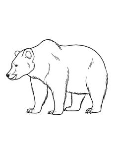 a black and white drawing of a bear on a white background, with the outline of it's head to the side