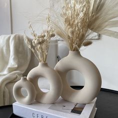 two white vases sitting on top of a book with dried plants in them,