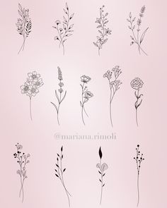 a bunch of flowers that are on a pink background