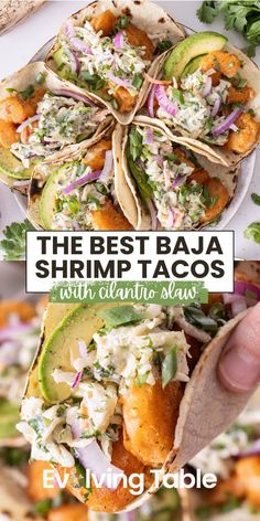 the best baua shrimp tacos with cilantro sauce