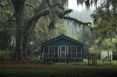 a green cabin in the woods with moss hanging from trees